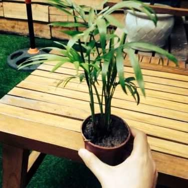 Tổng hợp- Rendez Vous Coffee - Ngõ Phất Lộc