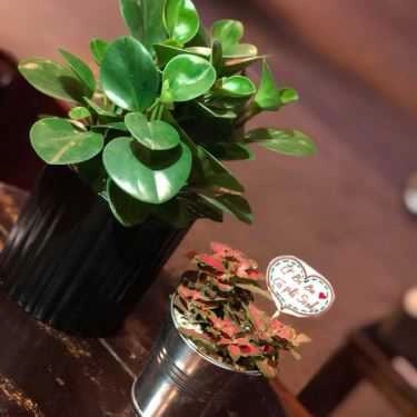 Tổng hợp- Sinh Cafe - Phùng Hưng