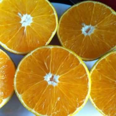 Tổng hợp- Cafe Sinh Tố Hồng - Hàng Mành