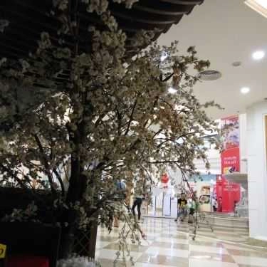 Tổng hợp- Skyline Coffee - Royal City