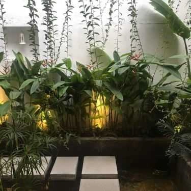 Tổng hợp- Smile Tea & Coffee