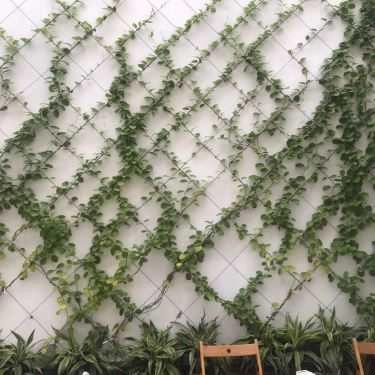 Tổng hợp- Smile Tea & Coffee