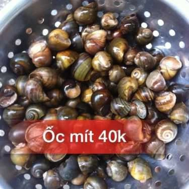 Tổng hợp- Ăn vặt Bích Ốc - Ốc & Hải Sản