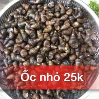 Tổng hợp- Ăn vặt Bích Ốc - Ốc & Hải Sản