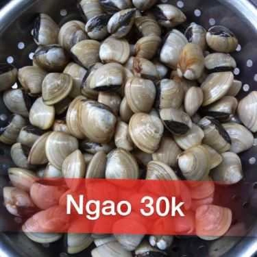 Tổng hợp- Ăn vặt Bích Ốc - Ốc & Hải Sản