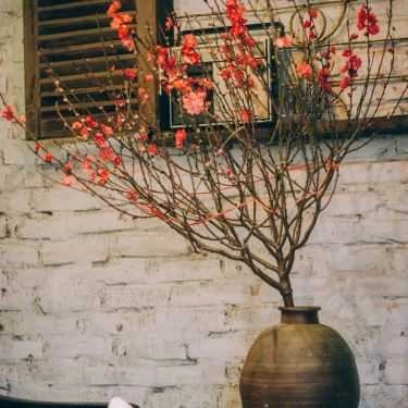 Tổng hợp- Sổ Cà Phê