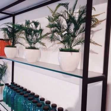 Tổng hợp- Cafe SoGREEN Cold Pressed Juice - Hàm Long