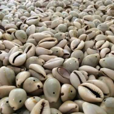Tổng hợp- Sỏi Cafe - Nguyễn Thị Định