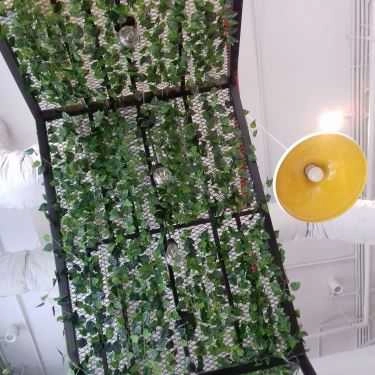 Tổng hợp- Cafe Soya Garden - Vũ Phạm Hàm
