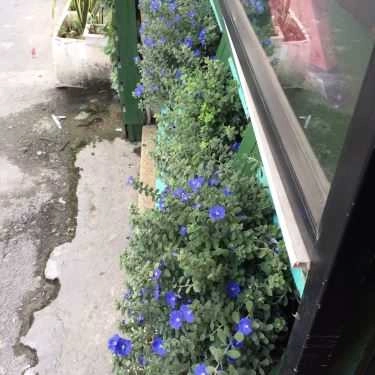 Tổng hợp- Station Coffee