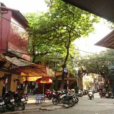 Tổng hợp- Cây Đa Cafe - Hàng Nón