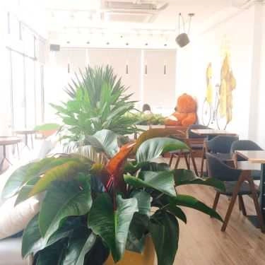 Tổng hợp- Cafe Taste Tea - Xã Đàn