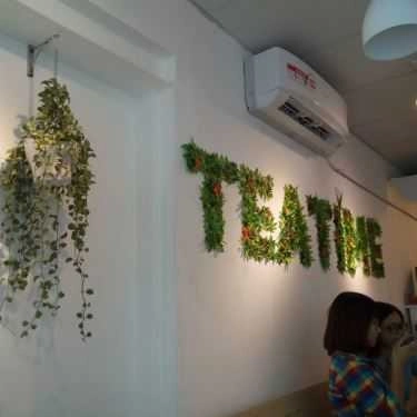 Tổng hợp- Cafe Tea Time - Núi Trúc