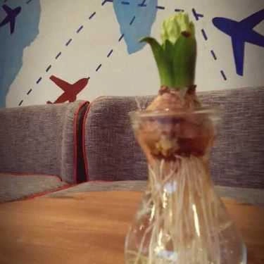 Tổng hợp- Terminal Cafe - Times City