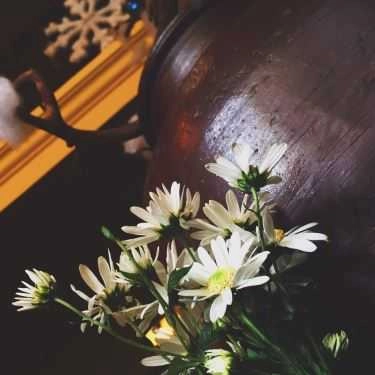 Tổng hợp- Thạch Cô Ba - Cafe & Thạch Trà
