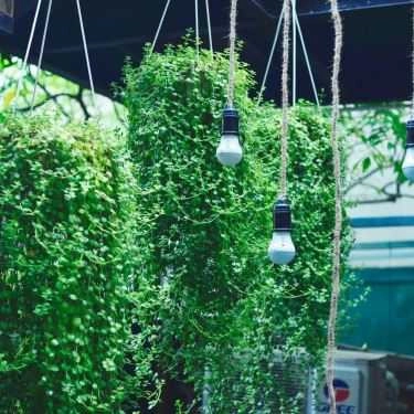 Tổng hợp- Tháng 10 Coffee & Lounge