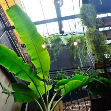 Tổng hợp- Tháng 10 Coffee & Lounge
