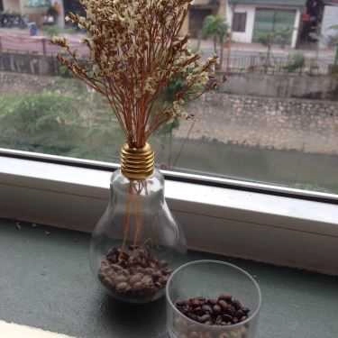 Tổng hợp- The Arabican Coffee