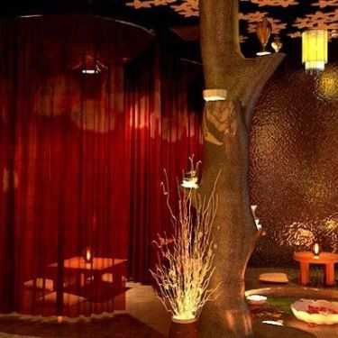 Tổng hợp- The Cafe - Lạc Long Quân