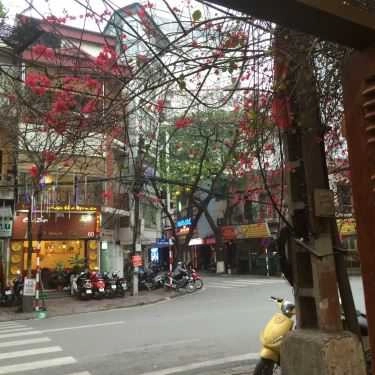 Tổng hợp- The Coffee House - Bùi Thị Xuân