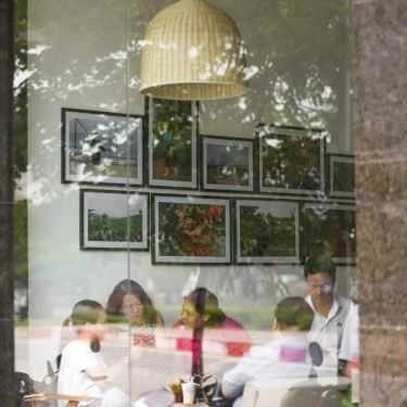 Tổng hợp- The Coffee House - Hồ Tùng Mậu