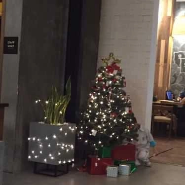 Tổng hợp- The Coffee House - Nguyễn Khánh Toàn