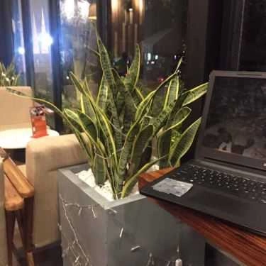 Tổng hợp- The Coffee House - Nguyễn Khánh Toàn