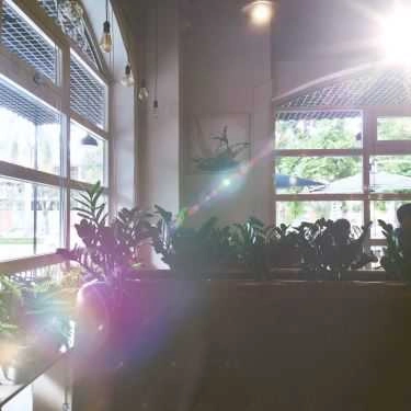Tổng hợp- Cafe The Corner - Food & Drink