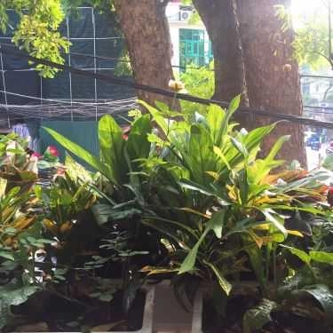Tổng hợp- The Cup - Coffee & Fresh Fruit