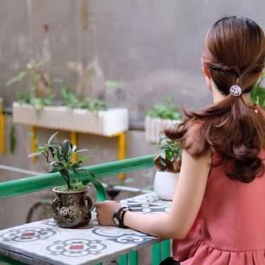 Tổng hợp- The Home Coffee