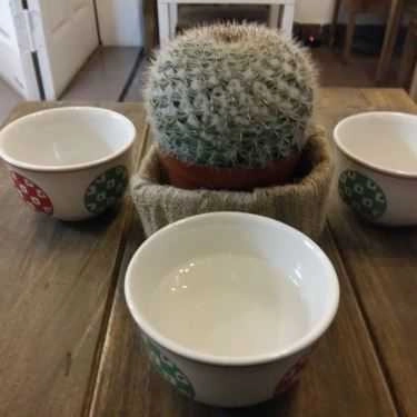 Tổng hợp- The House Tea & Coffee