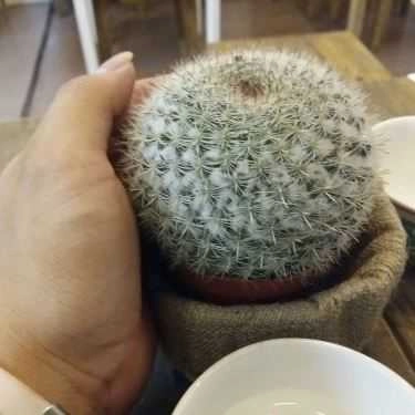 Tổng hợp- The House Tea & Coffee