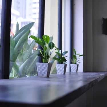 Tổng hợp- The Loop - Coffee & Tea