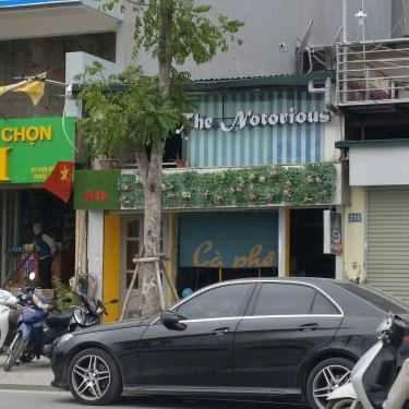 Tổng hợp- The Notorious Cafe