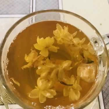 Tổng hợp- The Secret Garden Cafe