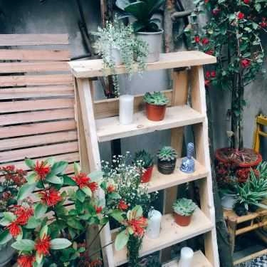 Tổng hợp- Thi Ca Cafe