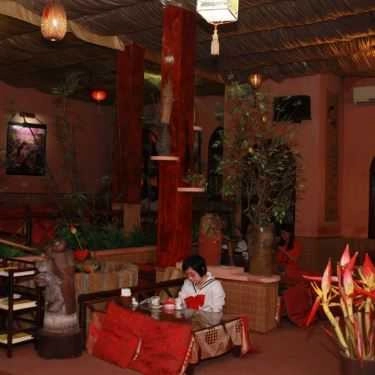 Tổng hợp- Cafe Thiên Sơn Trà