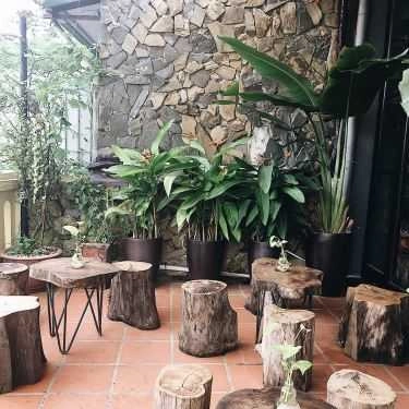 Tổng hợp- Cafe Thiền Việt Trà