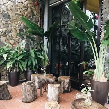 Tổng hợp- Cafe Thiền Việt Trà