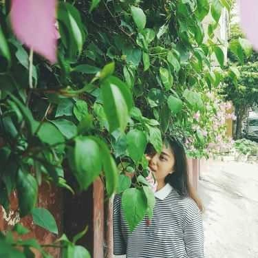 Tổng hợp- Thời Cà Phê