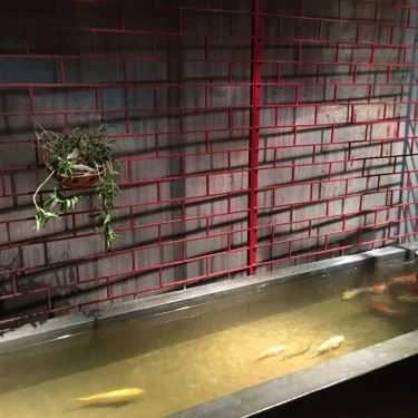 Tổng hợp- Cafe Thưởng Trà Quán