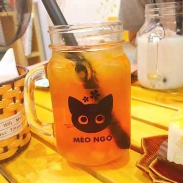 Món ăn- Cafe Tiệm Trà Mèo Ngố