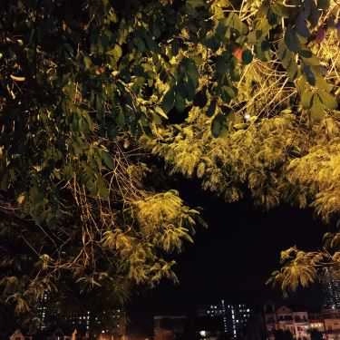 Tổng hợp- Tim Coffee - Hồ Văn Quán