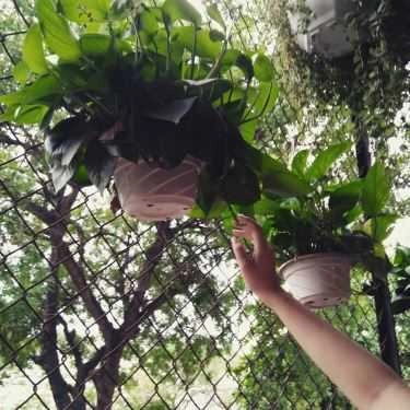 Tổng hợp- Tiny Cafe - Nguyễn Tri Phương