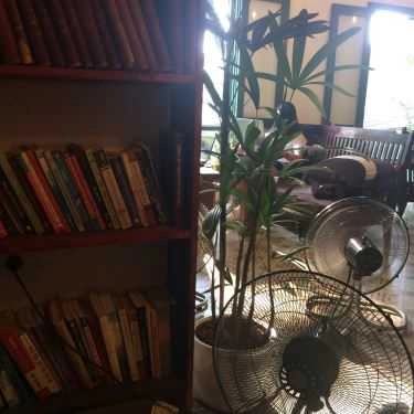 Tổng hợp- Tiny Cafe - Nguyễn Tri Phương