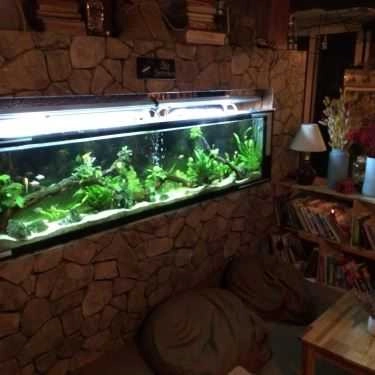 Tổng hợp- Tiny Cafe