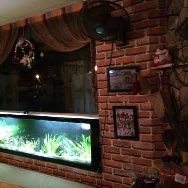 Tổng hợp- Tiny Cafe