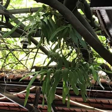Tổng hợp- Tối Cafe - Tô Hiệu