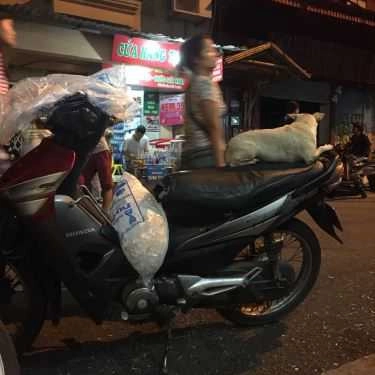 Tổng hợp- Cafe Trà Chanh - Đào Duy Từ