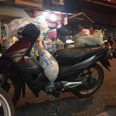 Tổng hợp- Cafe Trà Chanh - Đào Duy Từ